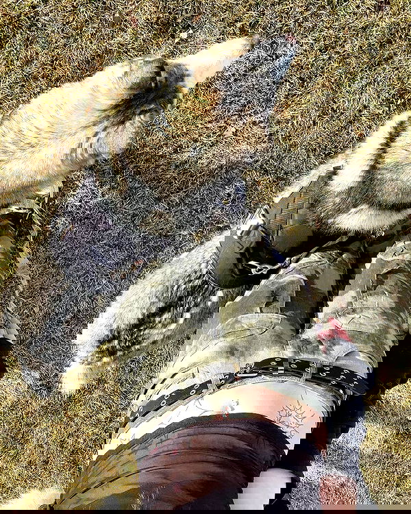 _animechika_ _animechika_ archive image