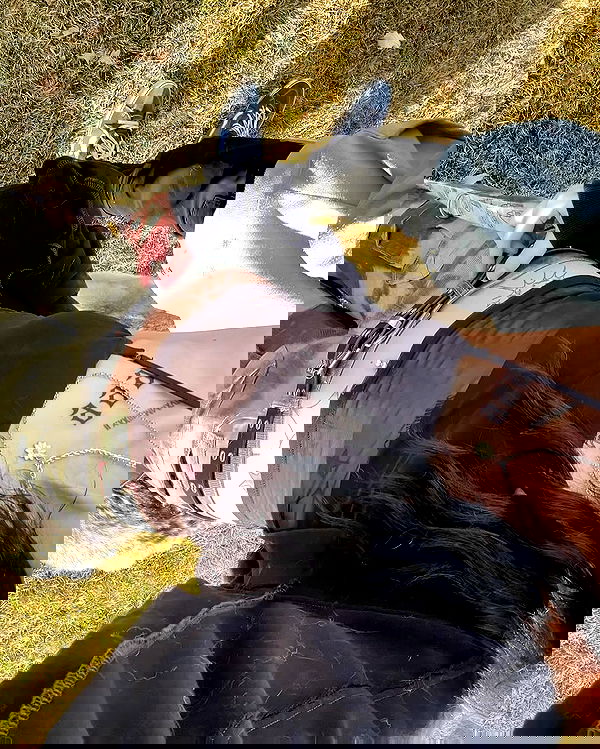 _animechika_ _animechika_ archive image