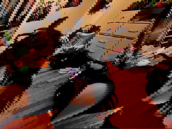 _animechika_ _animechika_ archive image