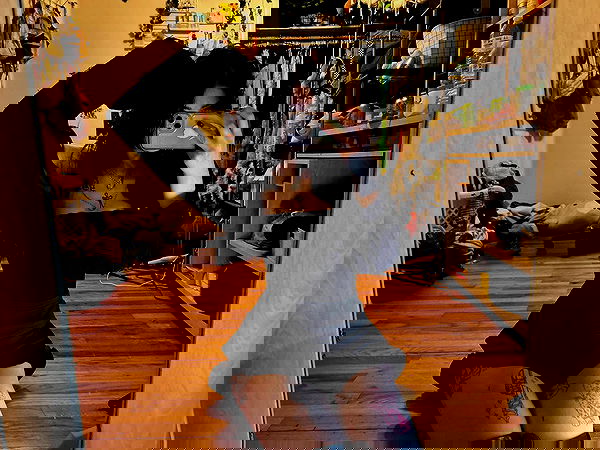 _animechika_ _animechika_ archive image