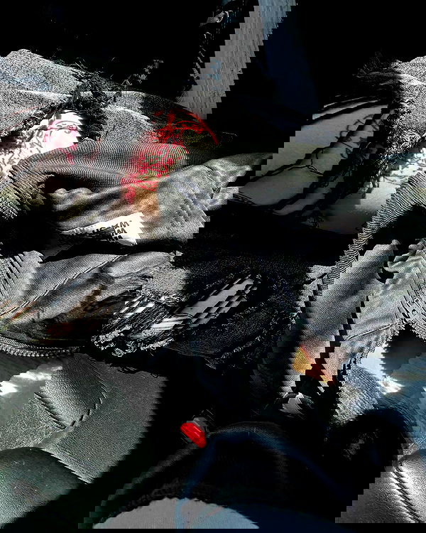 _animechika_ _animechika_ archive image