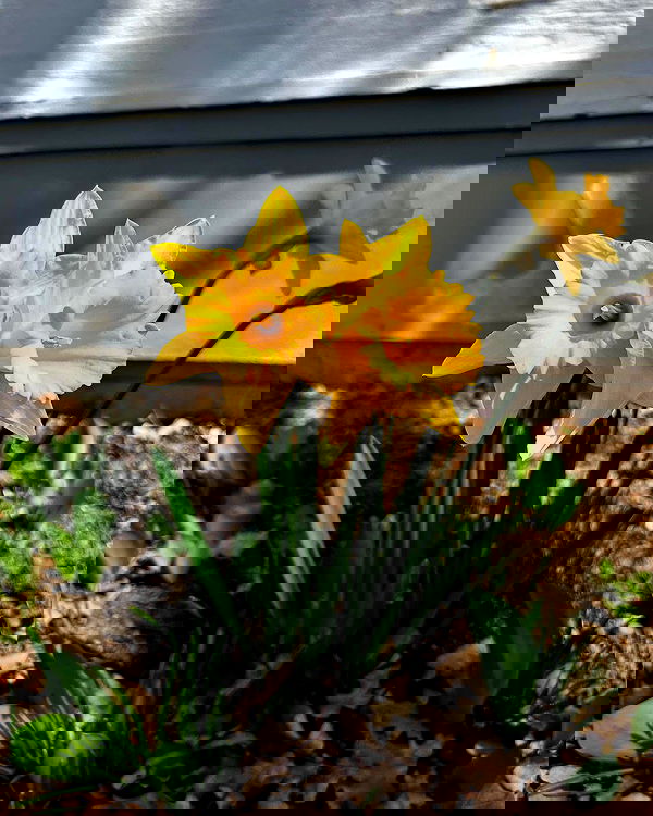 _animechika_ _animechika_ archive image