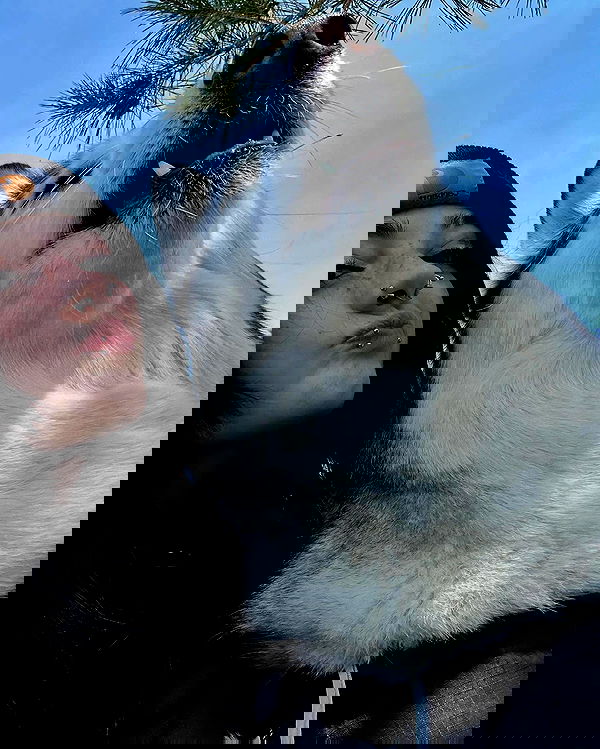 _animechika_ _animechika_ archive image