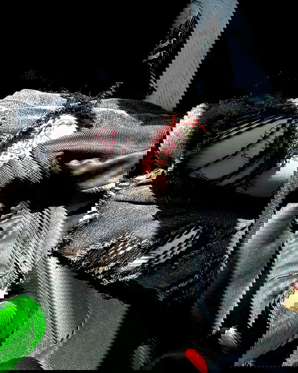 _animechika_ _animechika_ archive image