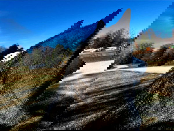 _animechika_ _animechika_ archive image