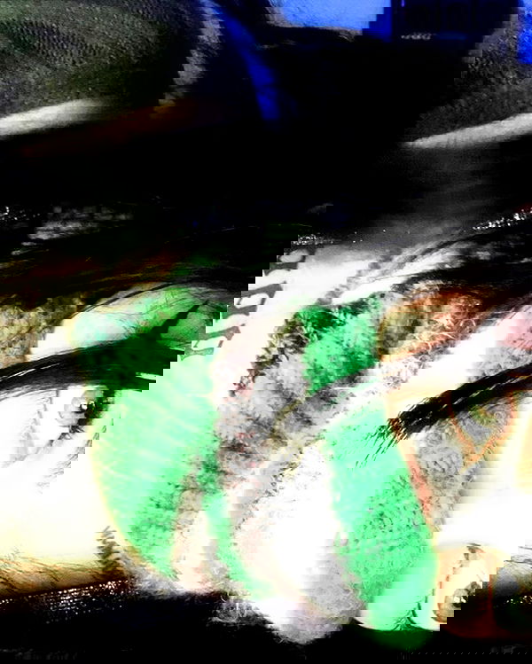 _animechika_ _animechika_ archive image