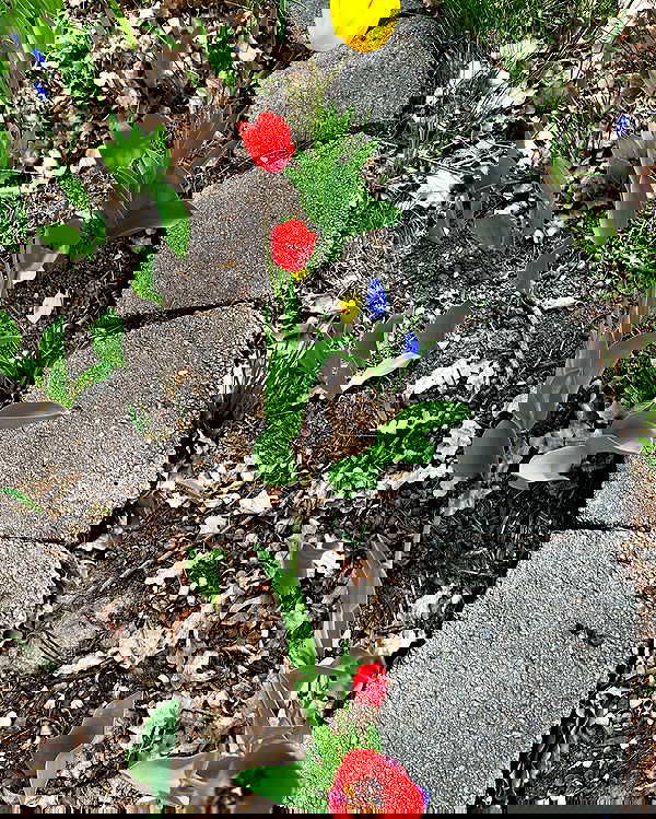 _animechika_ _animechika_ archive image