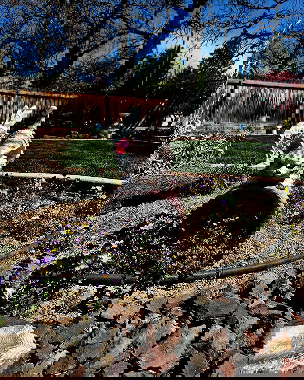 _animechika_ _animechika_ archive image