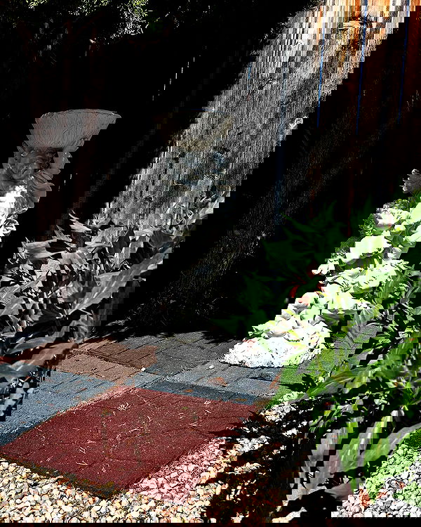 _animechika_ _animechika_ archive image