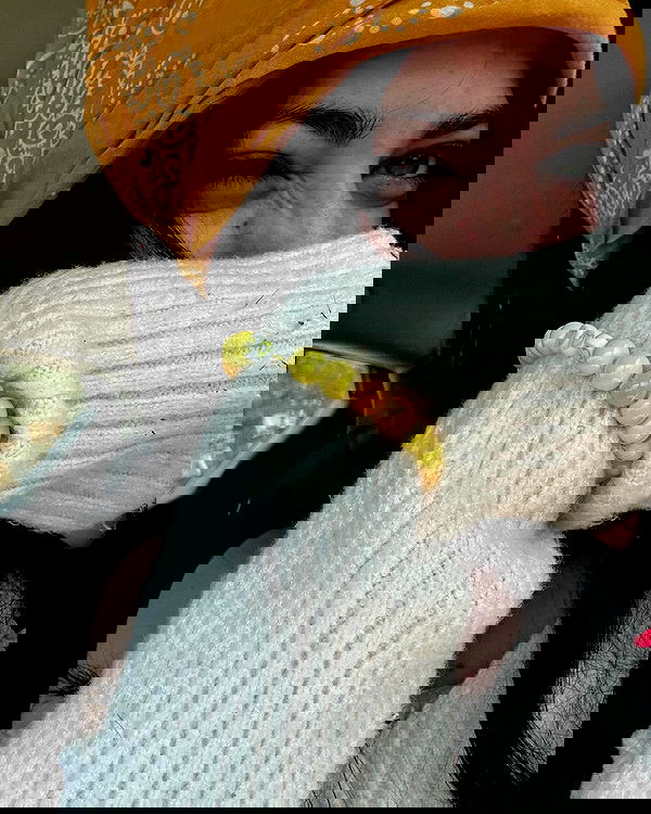 _animechika_ _animechika_ archive image