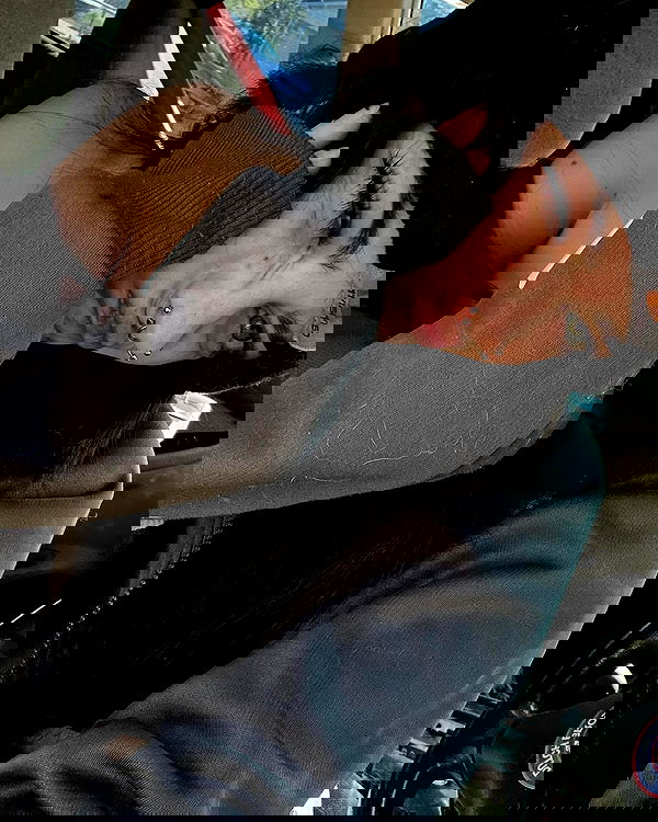 _animechika_ _animechika_ archive image