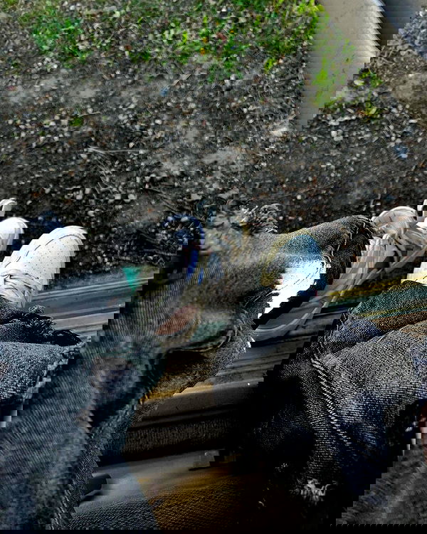 _animechika_ _animechika_ archive image