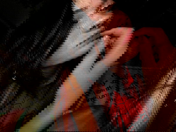 _animechika_ _animechika_ archive image