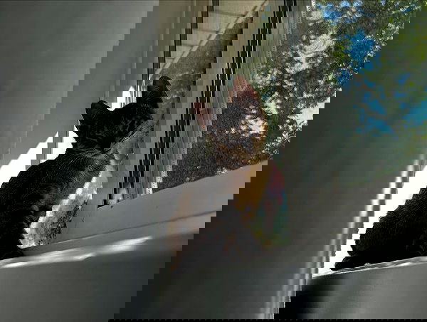 _animechika_ _animechika_ archive image