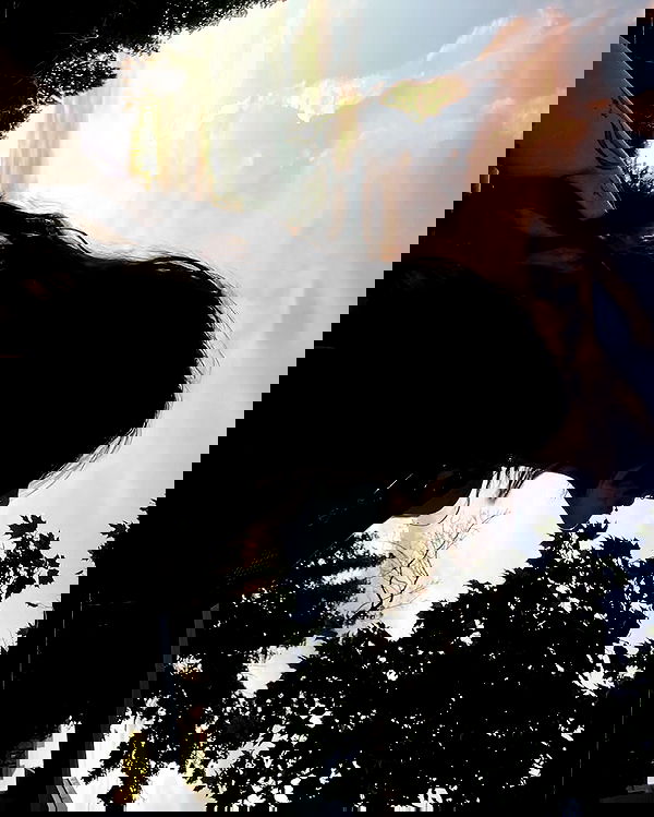 _animechika_ _animechika_ archive image