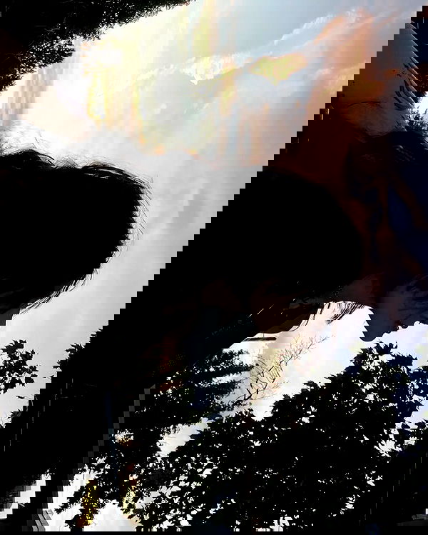 _animechika_ _animechika_ archive image