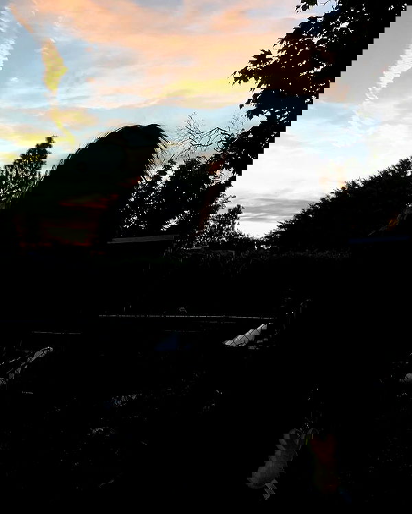 _animechika_ _animechika_ archive image