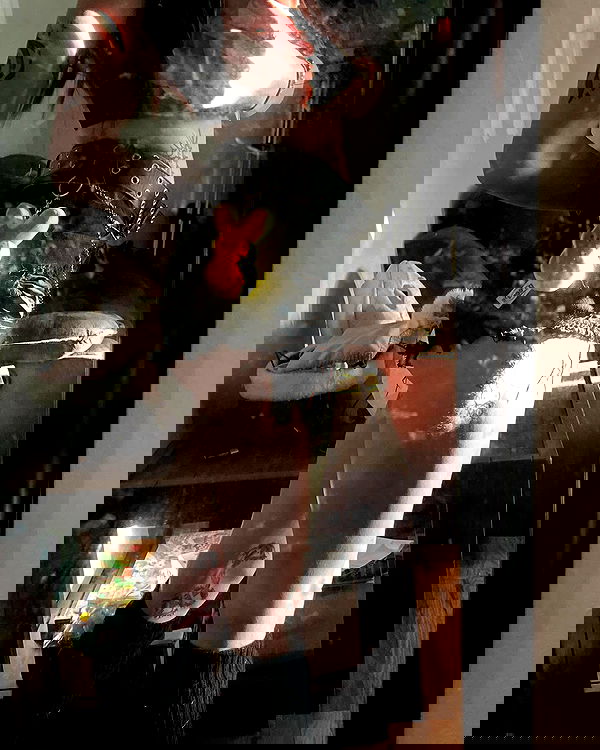 _animechika_ _animechika_ archive image