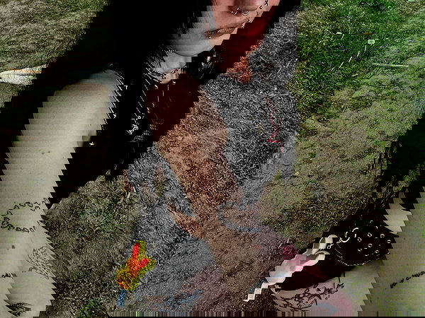 _animechika_ _animechika_ archive image