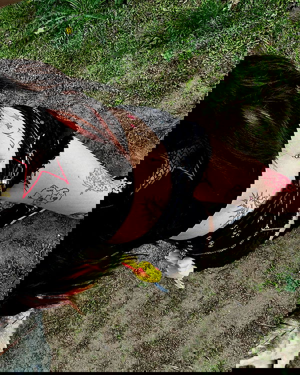 _animechika_ _animechika_ archive image