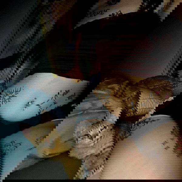 _animechika_ _animechika_ archive image