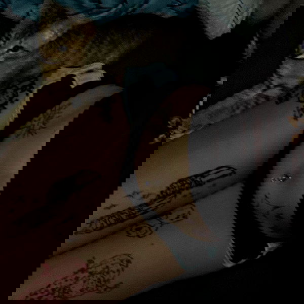 _animechika_ _animechika_ archive image