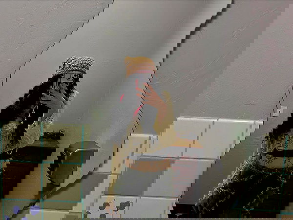 _animechika_ _animechika_ archive image