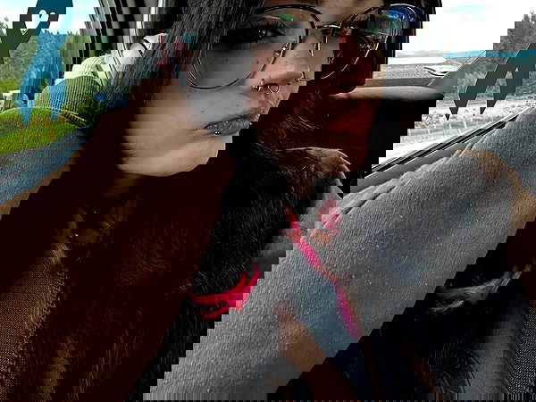 _animechika_ _animechika_ archive image