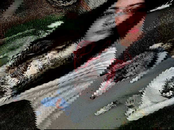 _animechika_ _animechika_ archive image