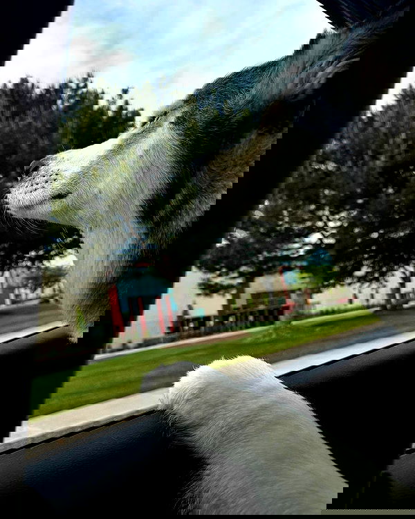 _animechika_ _animechika_ archive image