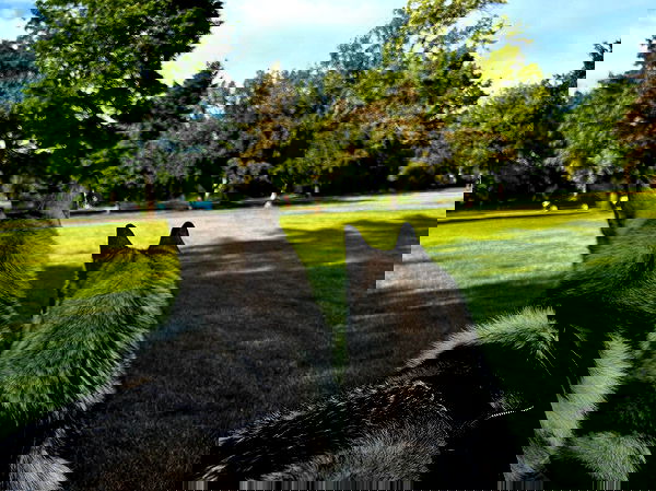 _animechika_ _animechika_ archive image