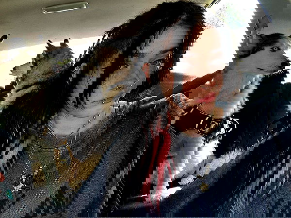 _animechika_ _animechika_ archive image