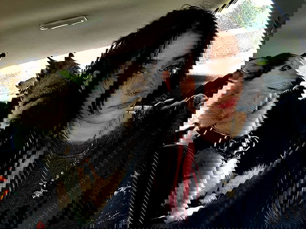 _animechika_ _animechika_ archive image