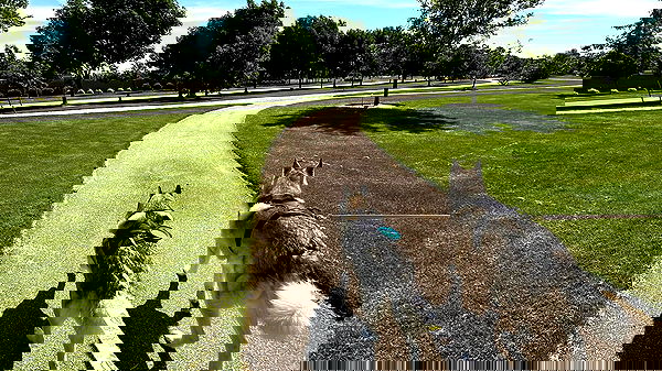 _animechika_ _animechika_ archive image