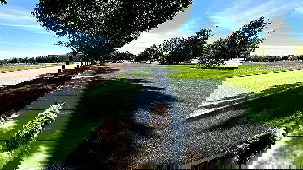 _animechika_ _animechika_ archive image