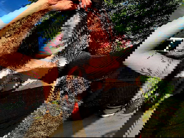 _animechika_ _animechika_ archive image