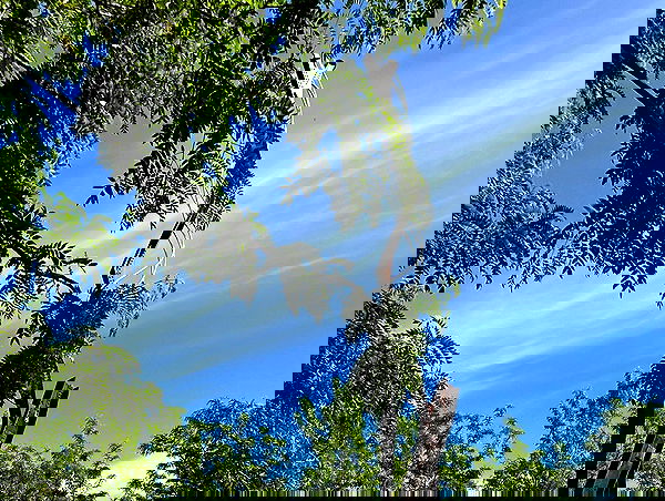 _animechika_ _animechika_ archive image