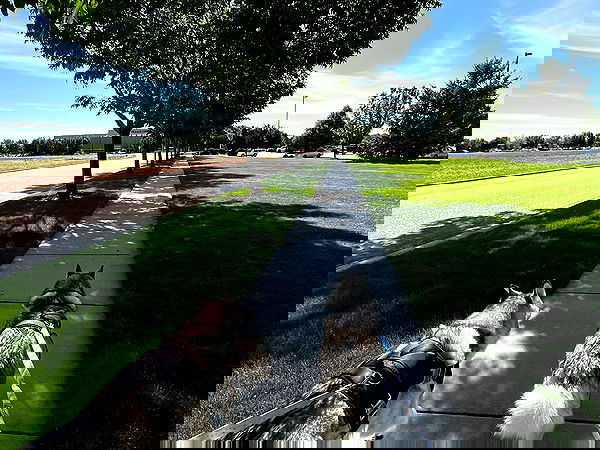 _animechika_ _animechika_ archive image