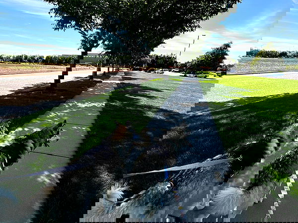 _animechika_ _animechika_ archive image