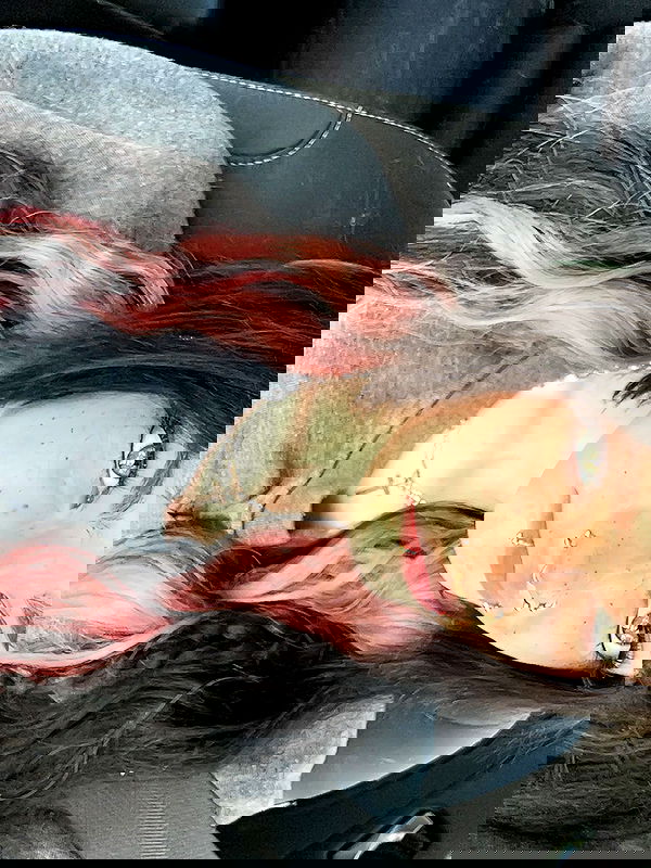 _animechika_ _animechika_ archive image