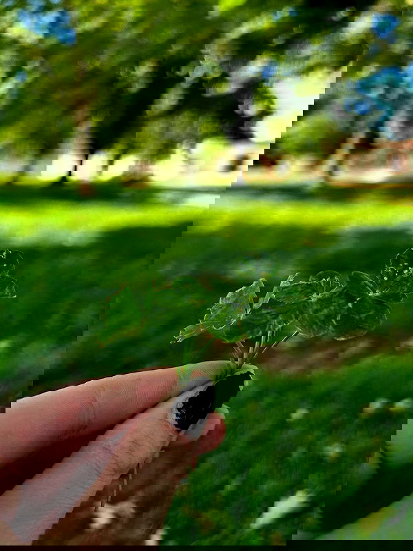 _animechika_ _animechika_ archive image