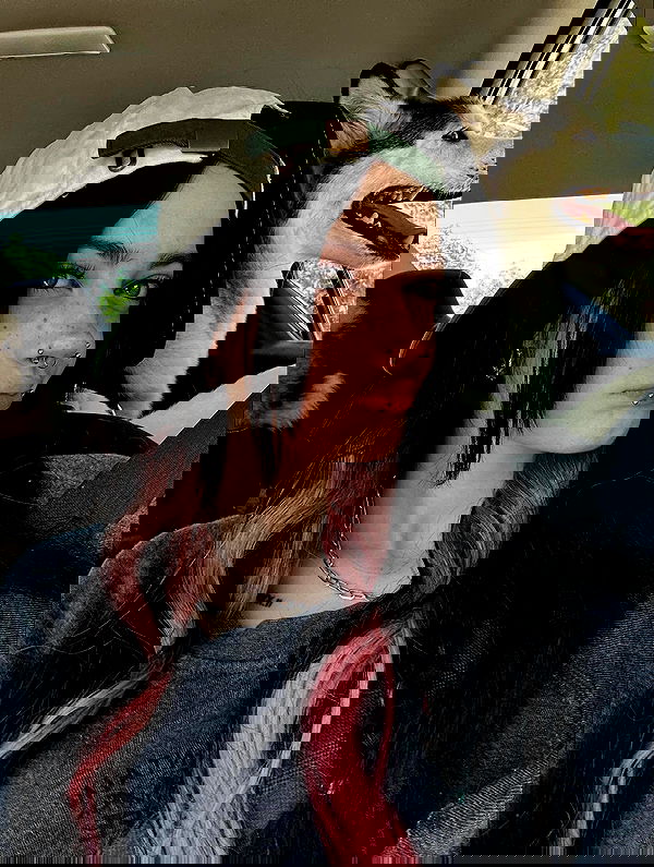 _animechika_ _animechika_ archive image