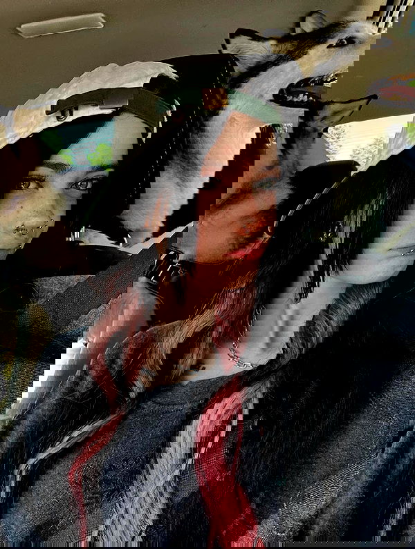 _animechika_ _animechika_ archive image