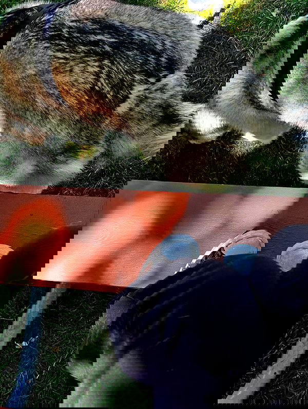 _animechika_ _animechika_ archive image