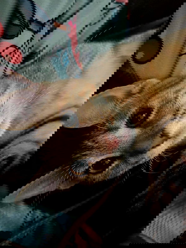 _animechika_ _animechika_ archive image