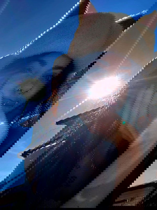 _animechika_ _animechika_ archive image