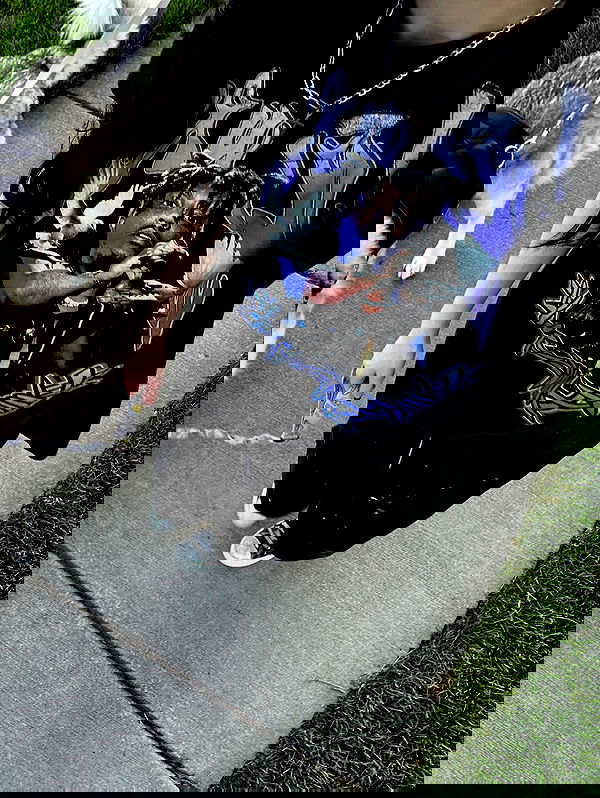 _animechika_ _animechika_ archive image