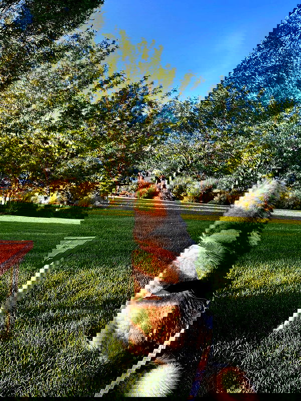 _animechika_ _animechika_ archive image