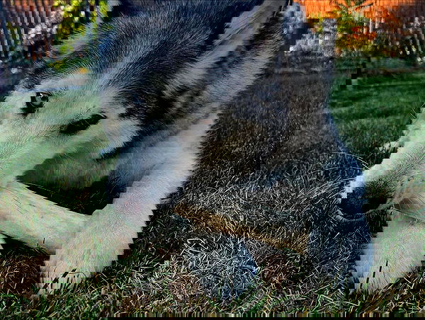 _animechika_ _animechika_ archive image