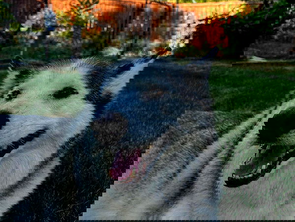 _animechika_ _animechika_ archive image